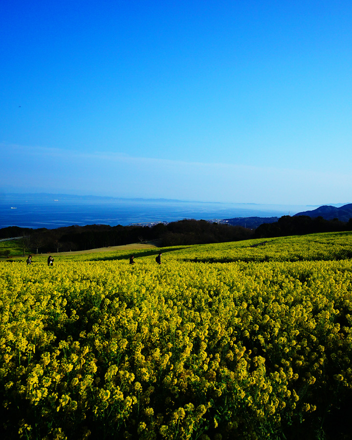 Wellness Retreat Tour in Awaji