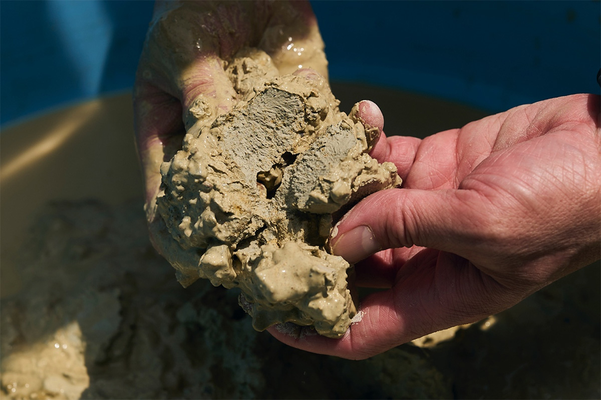 70% mountain soil from Tamba, 30% from rice paddies