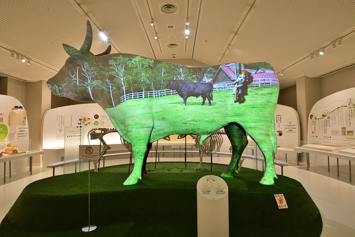 Tajima Beef Museum